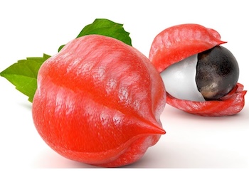 guarana