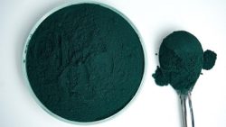 spiruline